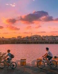 qq足球即使比分-QQ足球即时比分，绿茵场上的数字脉搏与激情共振
